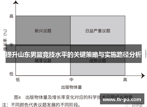 提升山东男篮竞技水平的关键策略与实施路径分析