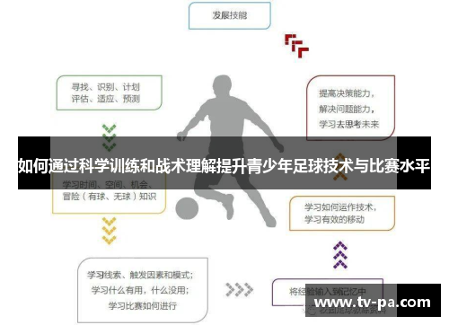 如何通过科学训练和战术理解提升青少年足球技术与比赛水平