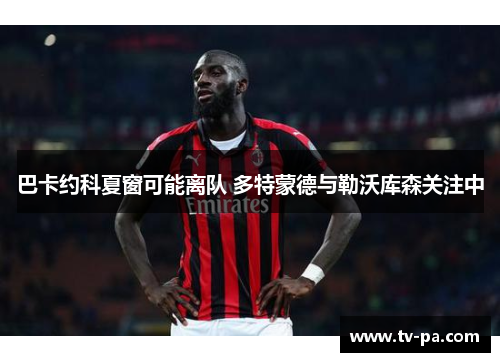 巴卡约科夏窗可能离队 多特蒙德与勒沃库森关注中