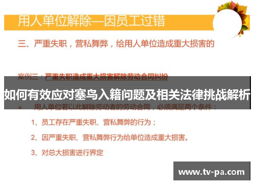 如何有效应对塞鸟入籍问题及相关法律挑战解析