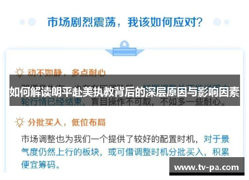 如何解读朗平赴美执教背后的深层原因与影响因素