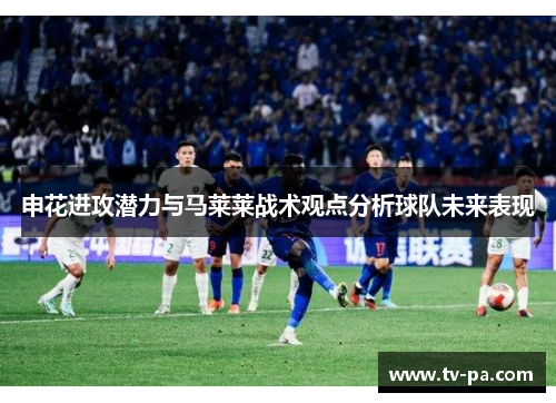 申花进攻潜力与马莱莱战术观点分析球队未来表现