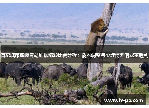 南京城市逆袭青岛红狮精彩比赛分析：战术调整与心理博弈的双重胜利