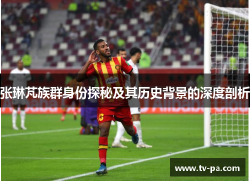 张琳芃族群身份探秘及其历史背景的深度剖析