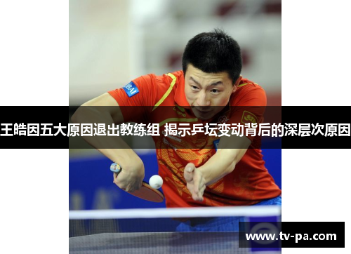 王皓因五大原因退出教练组 揭示乒坛变动背后的深层次原因