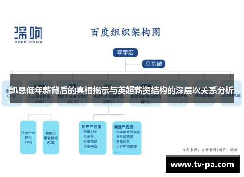 凯恩低年薪背后的真相揭示与英超薪资结构的深层次关系分析