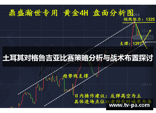 土耳其对格鲁吉亚比赛策略分析与战术布置探讨