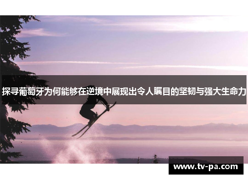 探寻葡萄牙为何能够在逆境中展现出令人瞩目的坚韧与强大生命力