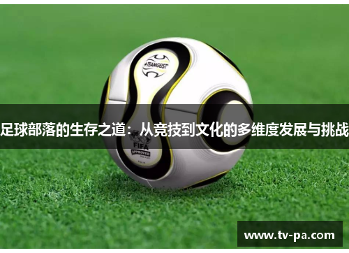 足球部落的生存之道：从竞技到文化的多维度发展与挑战