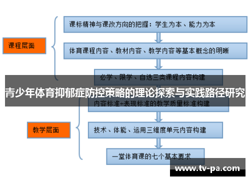 青少年体育抑郁症防控策略的理论探索与实践路径研究