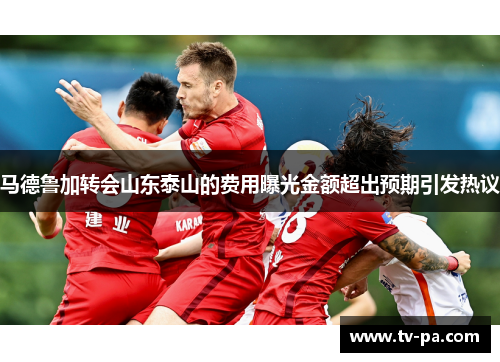 马德鲁加转会山东泰山的费用曝光金额超出预期引发热议