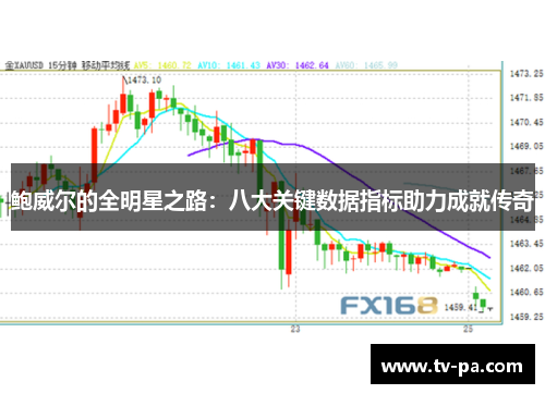 鲍威尔的全明星之路：八大关键数据指标助力成就传奇