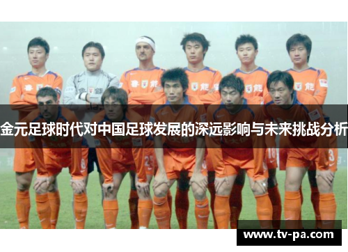 金元足球时代对中国足球发展的深远影响与未来挑战分析