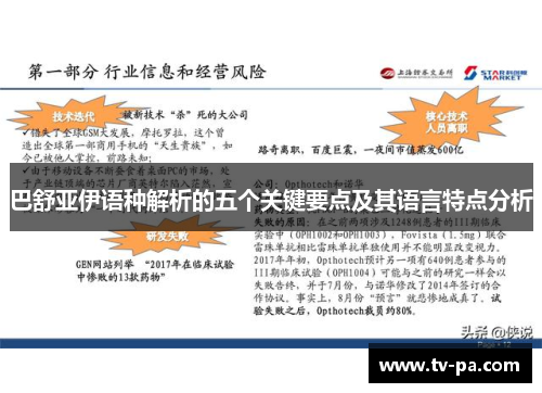 巴舒亚伊语种解析的五个关键要点及其语言特点分析