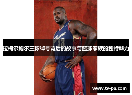 拉梅尔鲍尔三球绰号背后的故事与篮球家族的独特魅力 拉梅尔鲍尔三球绰号背后的故事与篮球家族的独特魅力