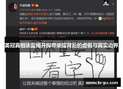 英冠真相迷雾揭开探寻荣耀背后的虚假与真实边界