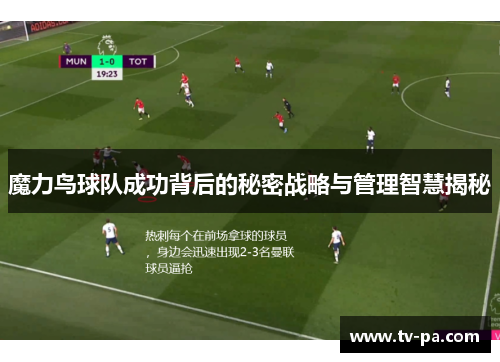 魔力鸟球队成功背后的秘密战略与管理智慧揭秘