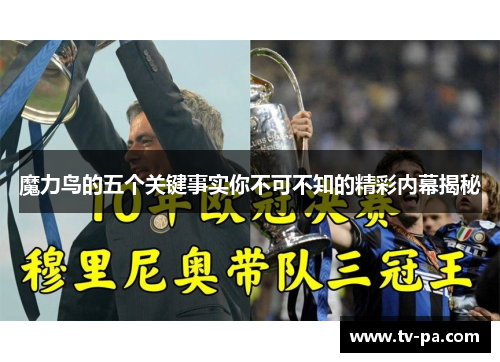 魔力鸟的五个关键事实你不可不知的精彩内幕揭秘