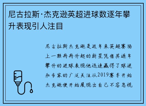 尼古拉斯·杰克逊英超进球数逐年攀升表现引人注目