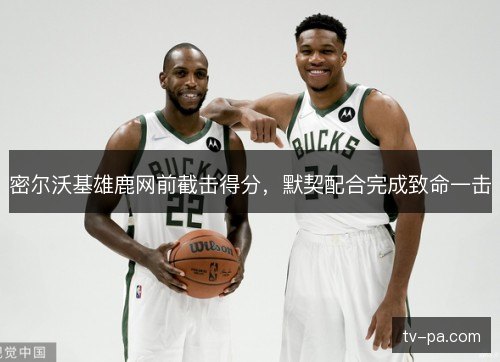 密尔沃基雄鹿网前截击得分,默契配合完成致命一击 密尔沃基雄鹿网前截击得分,默契配合完成致命一击